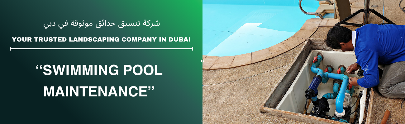 Swimming Pool Maintenance