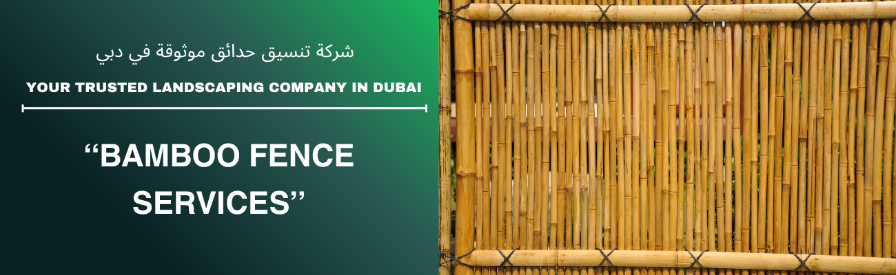 Bamboo Fence