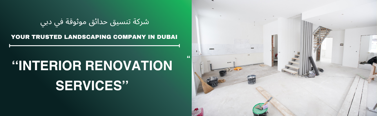 Interior Renovation
