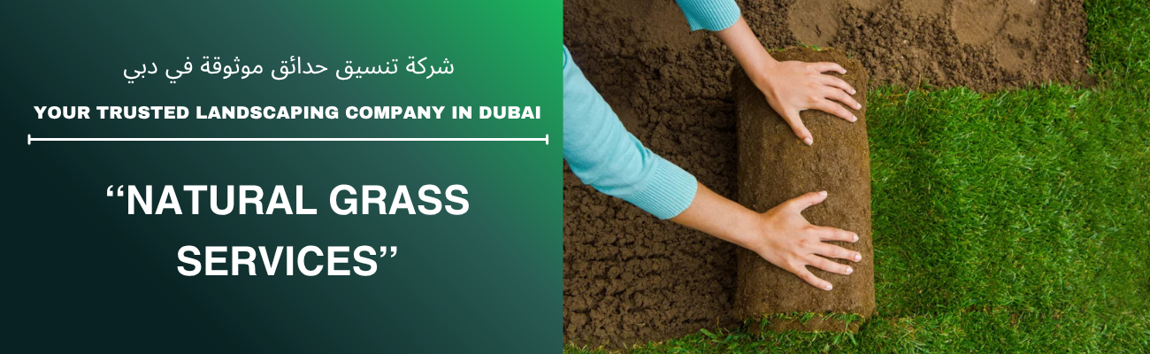 Natural Grass